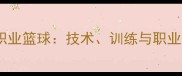 街球VS职业篮球技术训练与职业发展全