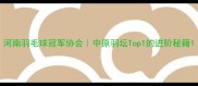河南羽毛球冠军协会中原羽坛Top1的进阶秘籍