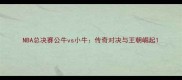 NBA总决赛公牛vs小牛传奇对决与王朝崛起