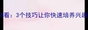 乒乓球入门必看3个技巧让你快速培养兴趣感受国球