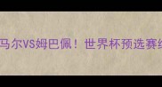 瑞典vs法国内马尔VS姆巴佩世界杯预选赛终极对决深度