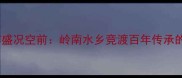 万江龙舟赛盛况空前岭南水乡竞渡百年传承的体育盛宴
