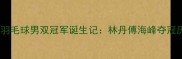 里约奥运会羽毛球男双冠军诞生记林丹傅海峰夺冠历程与技术