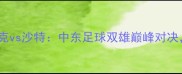 亚洲杯预选赛焦点战伊拉克vs沙特中东足球双雄巅峰对决国家荣誉之战暗藏玄机
