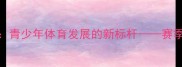 中国高中篮球联赛青少年体育发展的新标杆赛季赛事全与未来展望