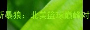 华盛顿神队VS拉斯维加斯暴狼北美篮球巅峰对决全网关注焦点战