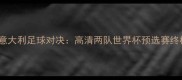 瑞典vs意大利足球对决高清两队世界杯预选赛终极较量