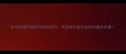 乒乓球双打规则与实战技巧中国双打组合如何问鼎世乒赛