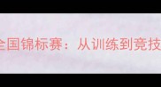 青少年跆拳道全国锦标赛从训练到竞技的成长全记录