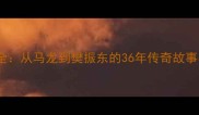 中国男乒统治力全从马龙到樊振东的36年传奇故事与技术革新之路