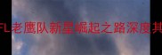 斯科特米勒赛季NFL老鹰队新星崛起之路深度其攻防两端突破性表现