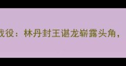 2009年羽毛球世锦赛经典战役林丹封王谌龙崭露头角中国军团包揽五金创历史