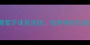 马拉加葡萄牙球员现状技术特点与发展前景