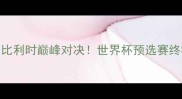 瑞士vs比利时巅峰对决世界杯预选赛终极战全