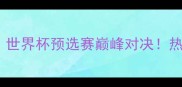 中国男足VS波多黎各世界杯预选赛巅峰对决热血碰撞点燃绿茵战火