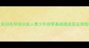 亚运村专业羽毛球培训成人青少年班零基础速成亚运场馆教练团队