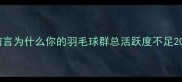 前言为什么你的羽毛球群总活跃度不足20