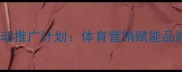 中国工商银行羽毛球运动推广计划体育营销赋能品牌升级的三大创新路径