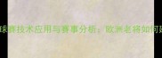 马琳西班牙羽毛球赛技术应用与赛事分析欧洲老将如何延续职业生涯