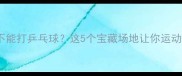 北京哪里不能打乒乓球这5个宝藏场地让你运动不缺席
