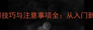 羽毛球双刃拍使用技巧与注意事项全从入门到精通的实战指南