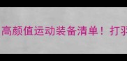 韩国羽毛球服推荐高颜值运动装备清单打羽毛球必看品牌测评