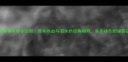 申花赛季传奇全回顾那些热血与泪水的经典瞬间永不褪色的绿茵记忆