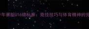 国际青少年赛艇U16锦标赛竞技技巧与体育精神的完美融合