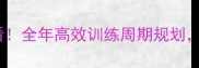 乒乓球新手必看全年高效训练周期规划30天突破瓶颈