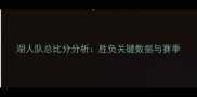 湖人队总比分分析胜负关键数据与赛季