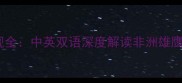 赛季加纳球员表现全中英双语深度解读非洲雄鹰的欧洲联赛征程