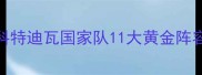 世界杯黑马球队深度科特迪瓦国家队11大黄金阵容这波黑科技你服不服