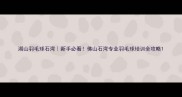 湖山羽毛球石湾新手必看佛山石湾专业羽毛球培训全攻略