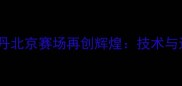 羽毛球传奇林丹北京赛场再创辉煌技术与运动精神传承