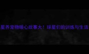 NBA球星养宠物暖心故事大球星们的训练与生活日常
