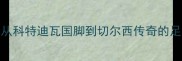 传奇射手德罗巴从科特迪瓦国脚到切尔西传奇的足球人生与经典战役