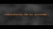 刘成羽毛球职业生涯全战绩技术成长与未来展望
