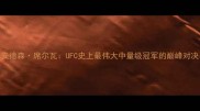 巴西格斗传奇安德森席尔瓦UFC史上最伟大中量级冠军的巅峰对决与职业成就全
