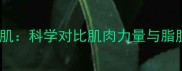 增肌减脂VS减脂增肌科学对比肌肉力量与脂肪重量的终极指南