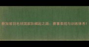 新加坡羽毛球国家队崛起之路赛事表现与训练体系
