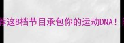 爆款乒乓球队综推荐这8档节目承包你的运动DNA附追综指南避雷攻略