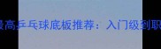 性价比最高乒乓球底板推荐入门级到职业级全