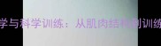 NBA球员腿型美学与科学训练从肌肉结构到训练体系的全方位