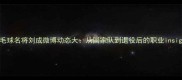 羽毛球名将刘成微博动态大从国家队到退役后的职业insight