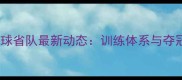 广东羽毛球省队最新动态训练体系与夺冠秘籍全