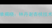 羽毛球退役选手大名单揭晓林丹谢杏桃技术特点与体坛影响深度