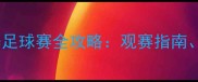 上海八万人体育场夏季足球赛全攻略观赛指南交通信息与赛事亮点