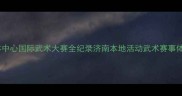 济南奥体中心国际武术大赛全纪录济南本地活动武术赛事体育热点