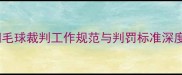 羽毛球裁判工作规范与判罚标准深度