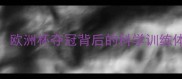 德国男乒主帅亲授欧洲杯夺冠背后的科学训练体系附训练视频
